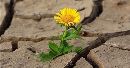 Люди з бойовим досвідом. Особливості взаємодії